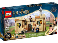 LEGO Harry Potter 76395 Hogwarts Primera Lección de Vuelo